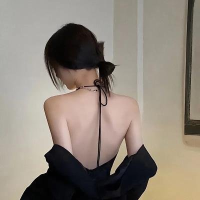 弦管动春心 在线观看封面