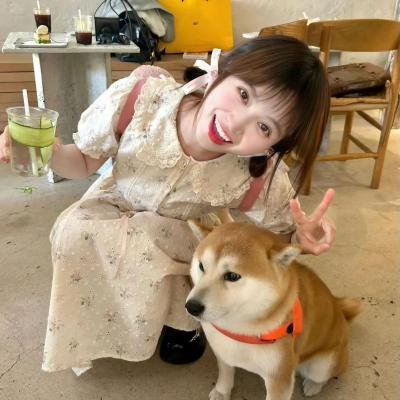 模仿女孩 在线观看封面